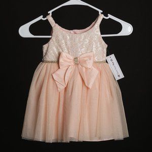 Sweet Heart Rose Pink Tulle Dress